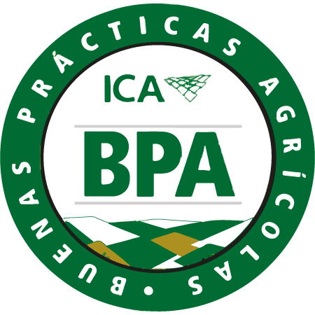 ICA BPA